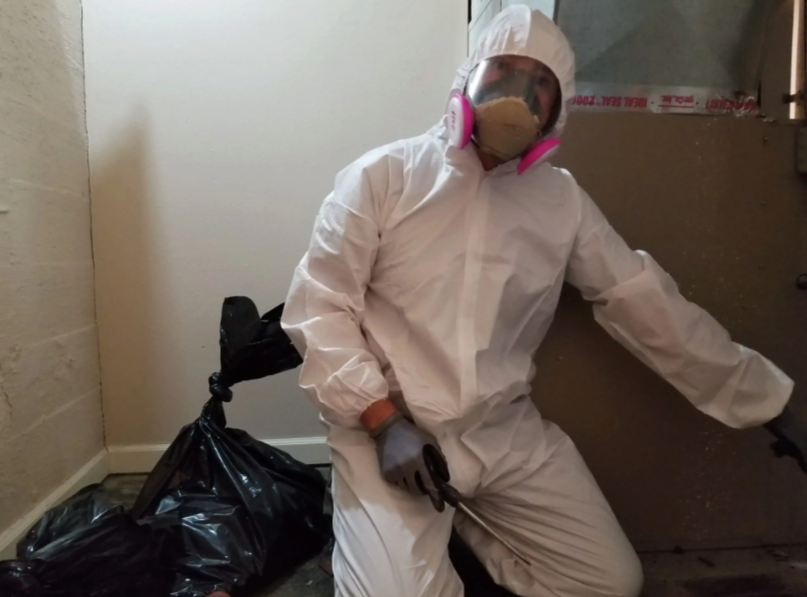 Speed Up Renovation Approvals with Asbestos Testing Results