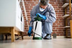 Pest Control Company – Your Partner for Safe and Efficient Pest Removal