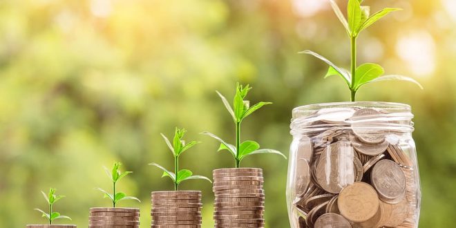 Growing plants emerging from stacks of coins.